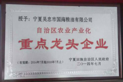 自治区龙头企业.jpg